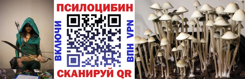 блэк спрут онион Шумерля Псилоцибиновые грибы Magic Shrooms купить наркотики сайты